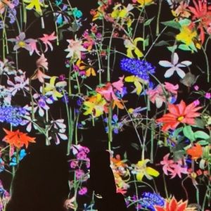 Meet your Posher, Penny